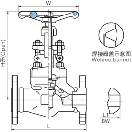 锻钢真空截止阀